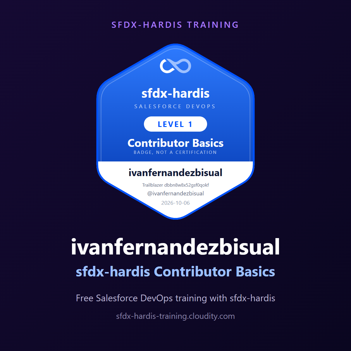 ivanfernandezbisual, sfdx-hardis Contributor Basics